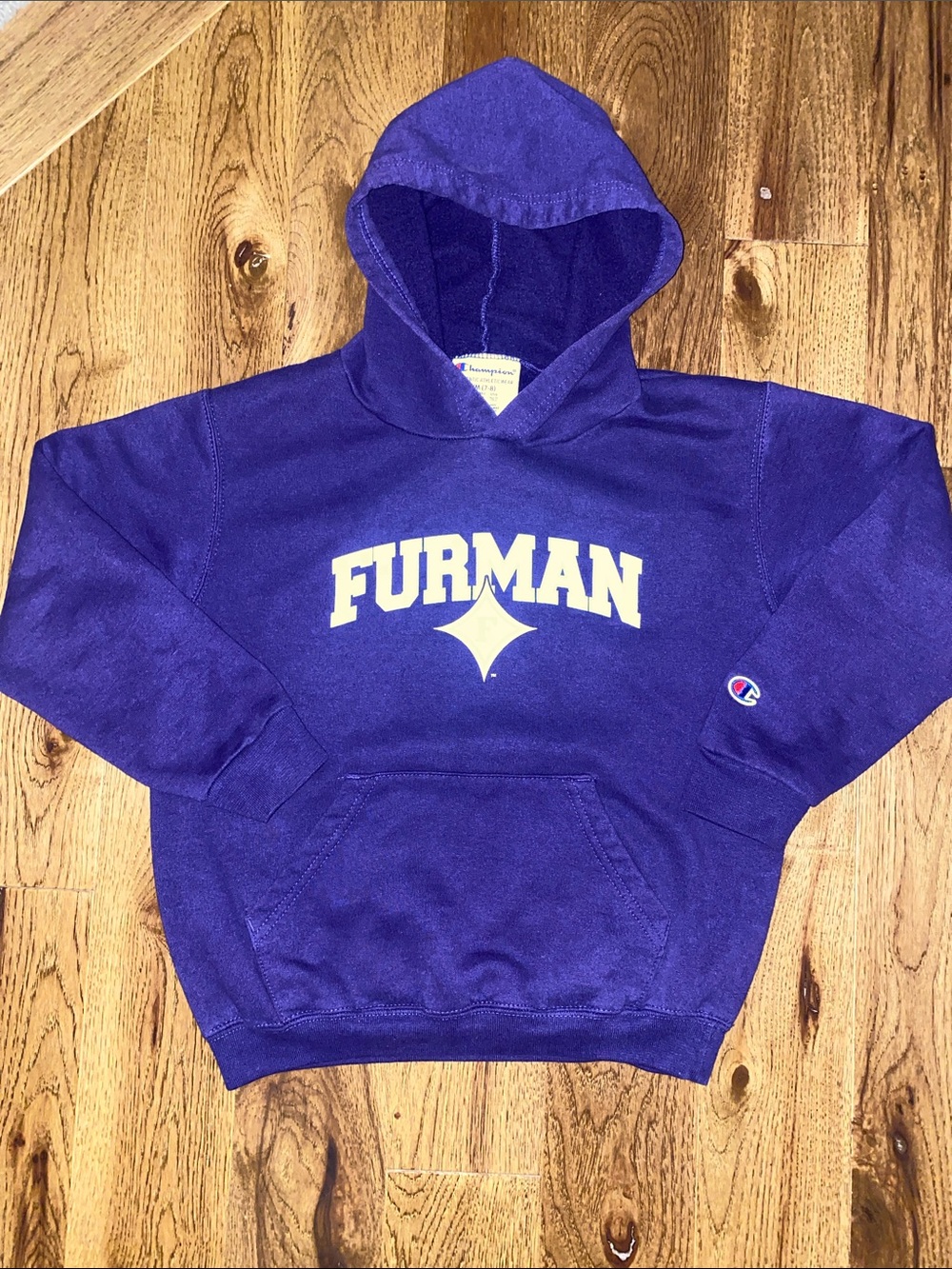 Champion Youth size Medium 7-8 Purple Furman Pullover Hoodie.